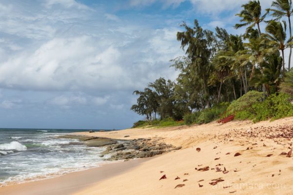 Island beach on the Pacific