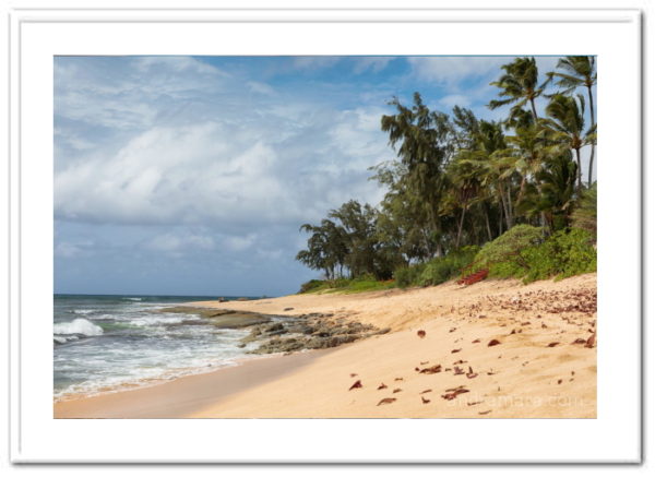 Island beach on the Pacific